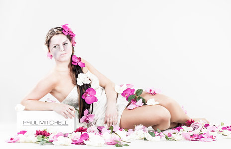 操作简单易用的cc攻击免费网页版